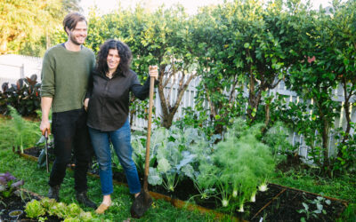 A garden made from scratch