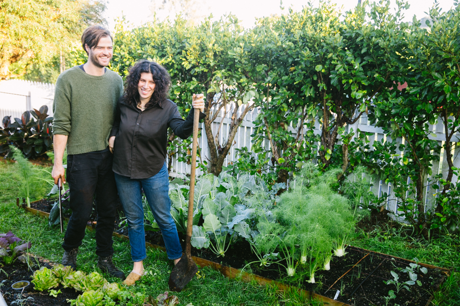 A garden made from scratch