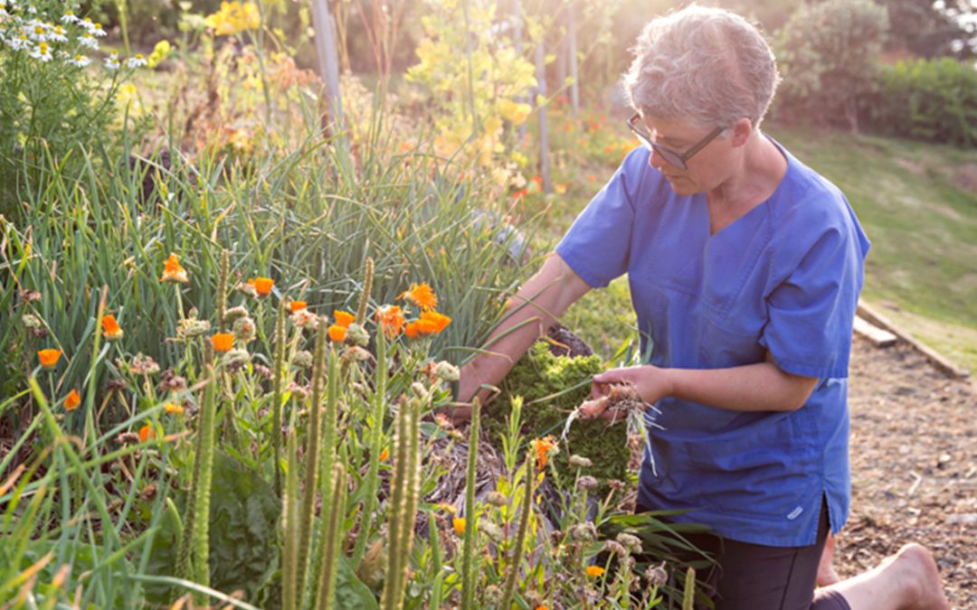 I’m designing my garden for the 80 year old I will become