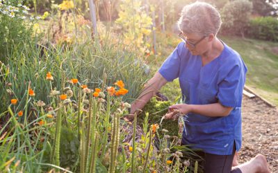 I’m designing my garden for the 80 year old I will become