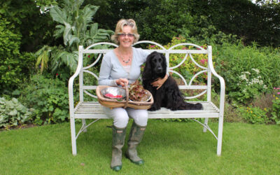 ‘I love the way the garden is divided into different spaces…’