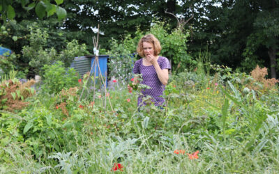 ‘I love the basket that comes back filled again…’
