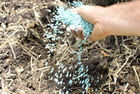 Slow release & granular feeds