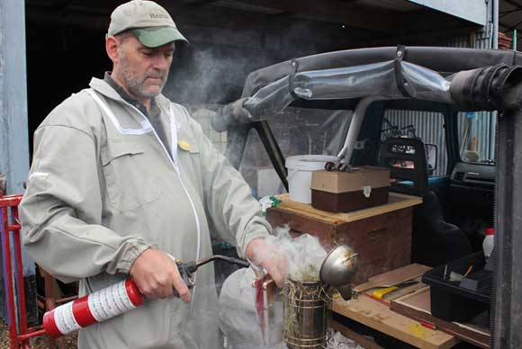 Beekeeping practicalities