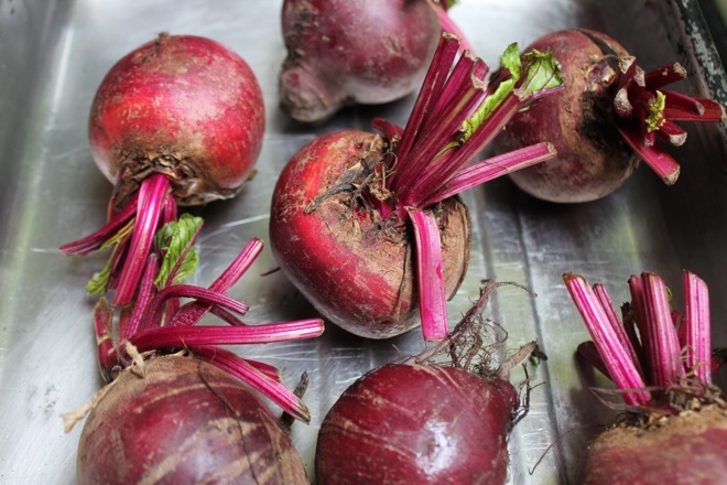 roasted beetroot